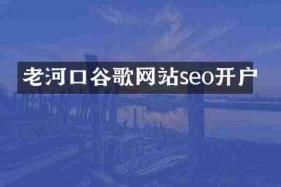 老河口谷歌网站seo开户