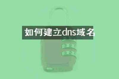 如何建立dns域名