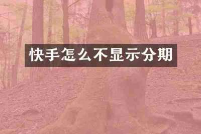 快手怎么不显示分期