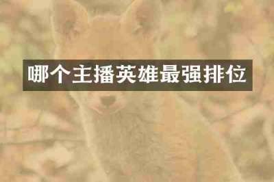 哪个主播英雄最强排位