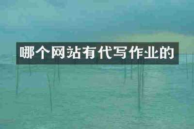 哪个网站有代写作业的
