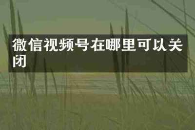 微信视频号在哪里可以关闭