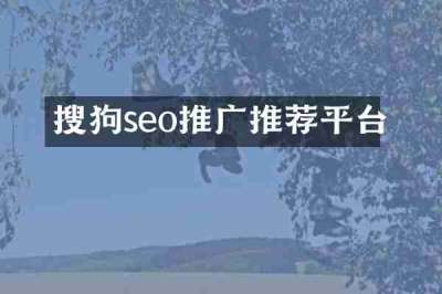 搜狗seo推广推荐平台