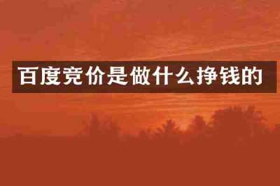 百度竞价是做什么挣钱的