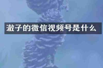 澈子的微信视频号是什么