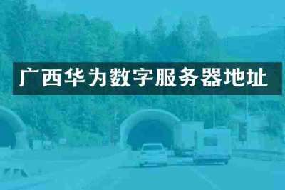 广西华为数字服务器地址