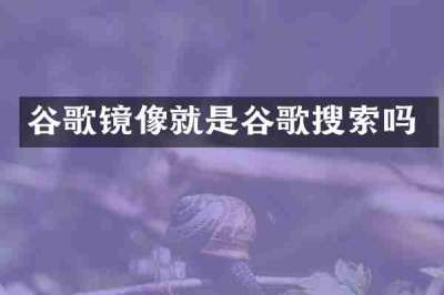 谷歌镜像就是谷歌搜索吗