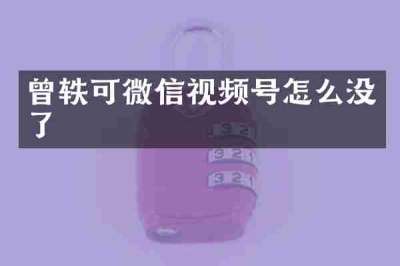 曾轶可微信视频号怎么没了