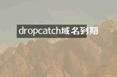 dropcatch域名到期