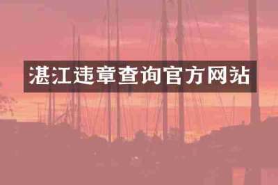 湛江违章查询官方网站