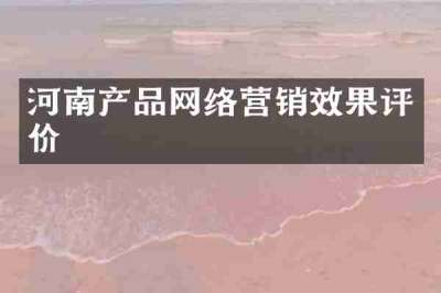 河南产品网络营销效果评价