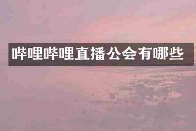 哔哩哔哩直播公会有哪些