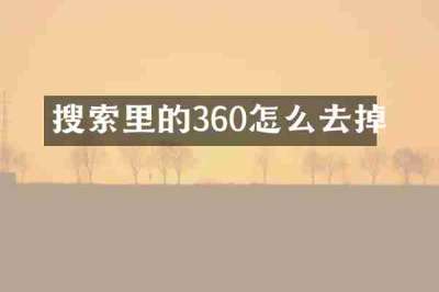 搜索里的360怎么去掉
