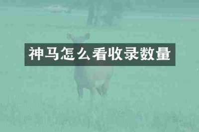 神马怎么看收录数量