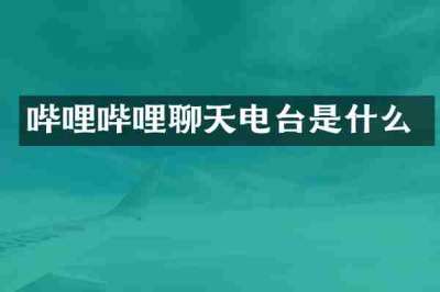 哔哩哔哩聊天电台是什么