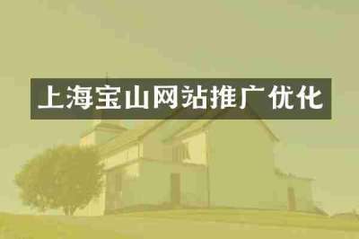 上海宝山网站推广优化