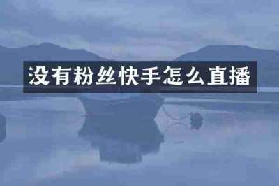 没有粉丝快手怎么直播