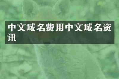 中文域名费用中文域名资讯