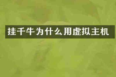 挂千牛为什么用虚拟主机