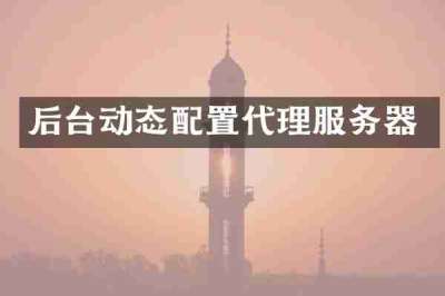 后台动态配置代理服务器