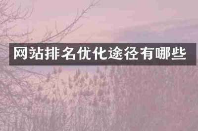 网站排名优化途径有哪些