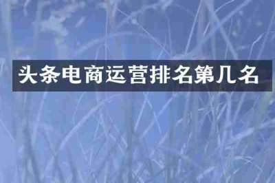 头条电商运营排名第几名