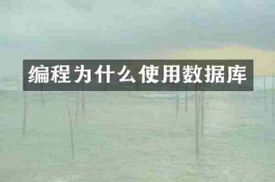 编程为什么使用数据库