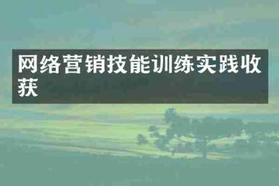 网络营销技能训练实践收获