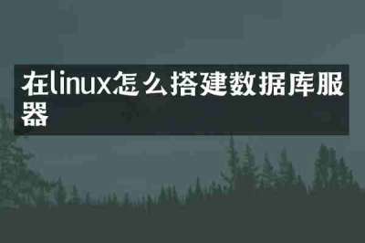 在linux怎么搭建数据库服务器