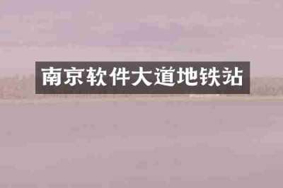 南京软件大道地铁站