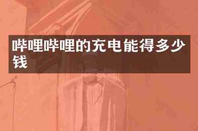 哔哩哔哩的充电能得多少钱