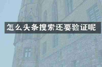 怎么头条搜索还要验证呢