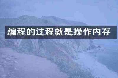 编程的过程就是操作内存
