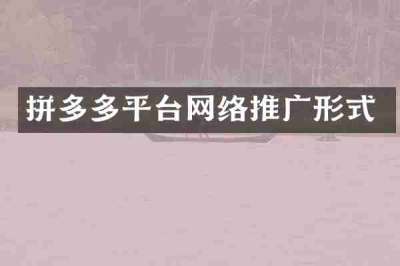 拼多多平台网络推广形式