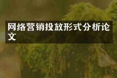 网络营销投放形式分析论文