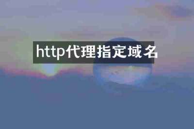 http代理指定域名