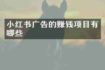 小红书广告的赚钱项目有哪些