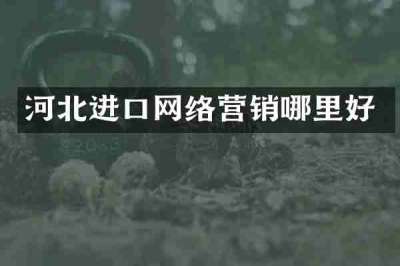 河北进口网络营销哪里好