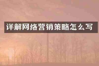 详解网络营销策略怎么写