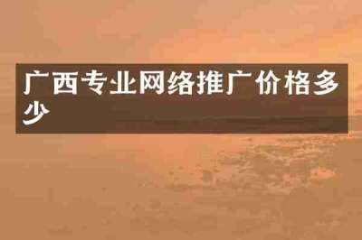 广西专业网络推广价格多少