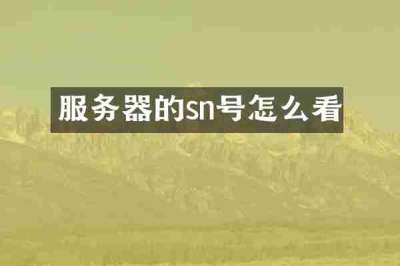 服务器的sn号怎么看