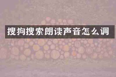 搜狗搜索朗读声音怎么调