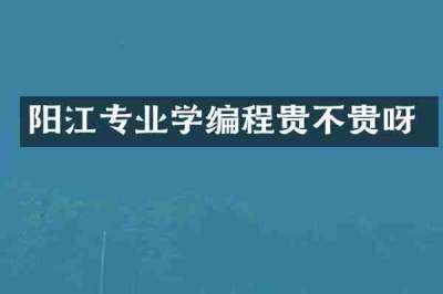 阳江专业学编程贵不贵呀