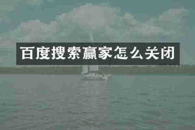 百度搜索赢家怎么关闭