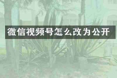 微信视频号怎么改为公开