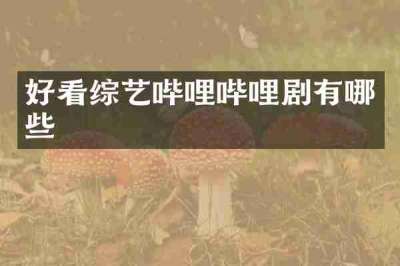 好看综艺哔哩哔哩剧有哪些