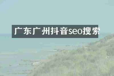广东广州抖音seo搜索