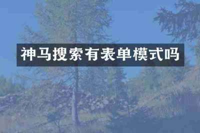 神马搜索有表单模式吗