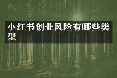 小红书创业风险有哪些类型