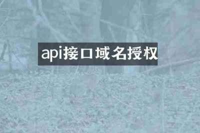 api接口域名授权